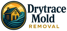 Drytrace Mold Removal